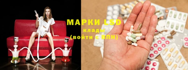 стаф Майский