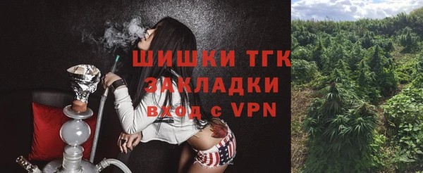 стаф Майский