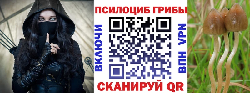 Галлюциногенные грибы ЛСД Старый Оскол