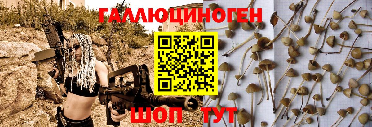 купить  сайты  Вход с VPN  Старый Оскол  Галлюциногенные грибы мицелий 