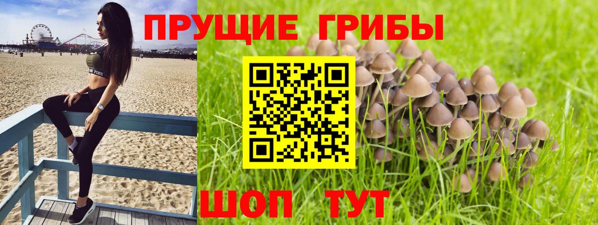 Псилоцибиновые грибы мухоморы Старый Оскол